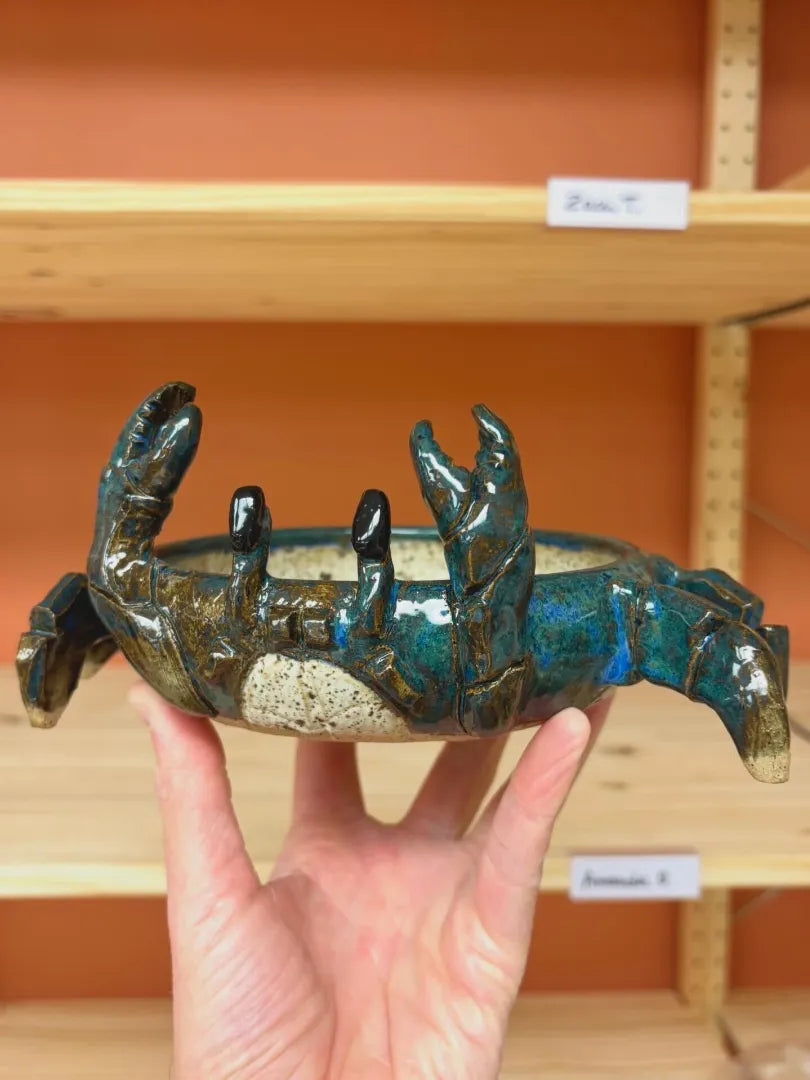 Sea Creature Bowls Workshop