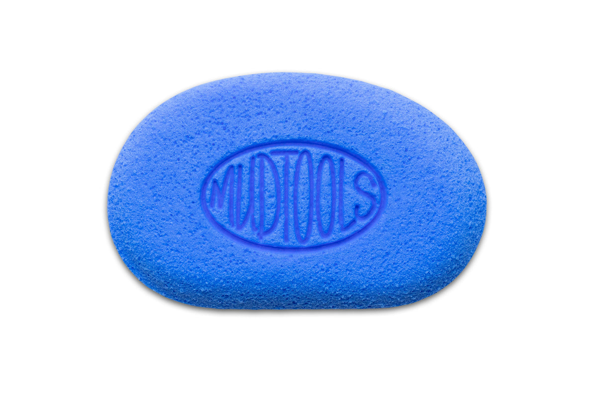 Blue Workhorse MudSponge