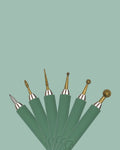 Tortuga The Sgraffito set - Moss