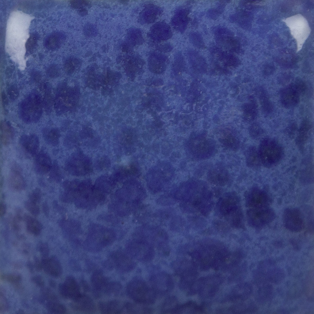 SP-231 Speckled The Blues