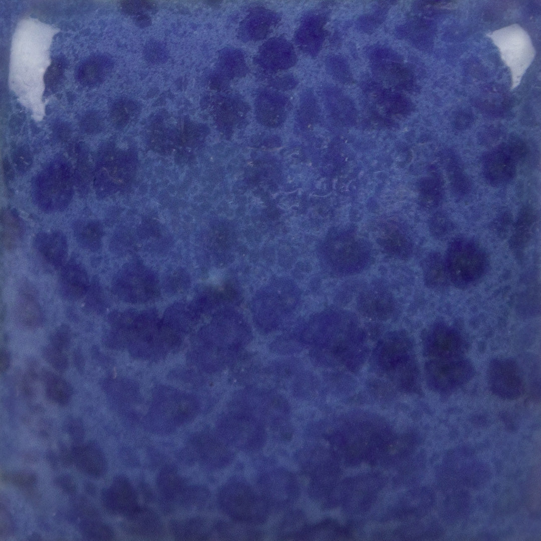 SP-231 Speckled The Blues