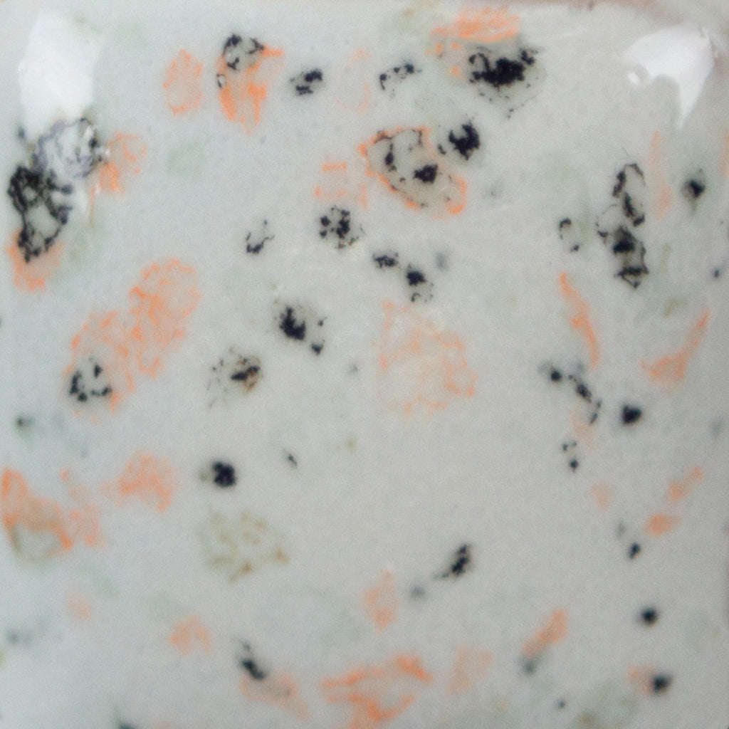 SP-254 Speckled Vanilla Dip