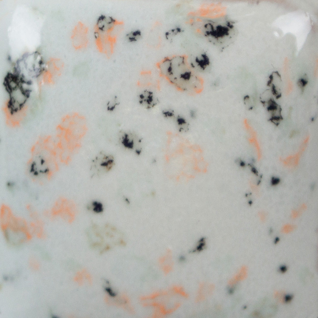 SP-254 Speckled Vanilla Dip